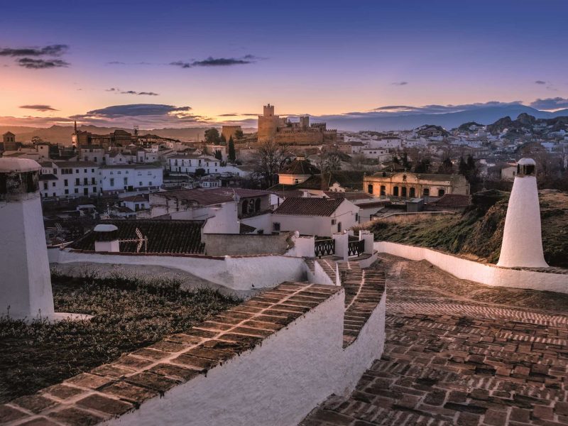 bg_echinac_1_4 bg_echinac_1_4